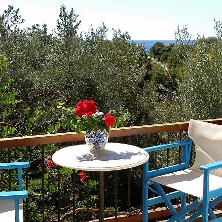 Olive Tree Cottages Paleochora Exterior foto