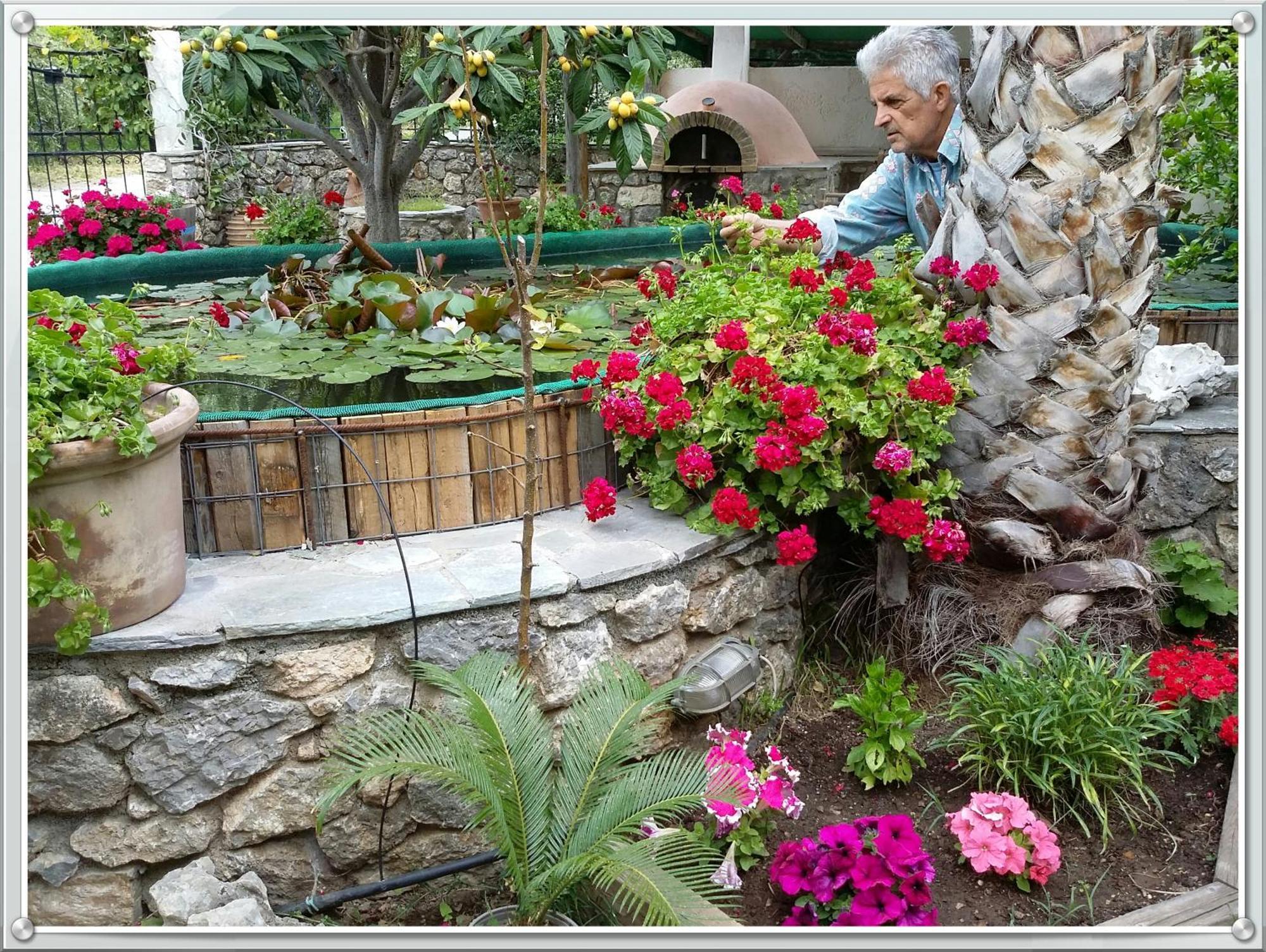 Olive Tree Cottages Paleochora Exterior foto